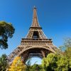 Torre Eiffel París Francia fotografiado desde perspectiva inferior con vegetación al rededor.